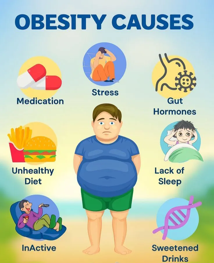 causes of belly fat